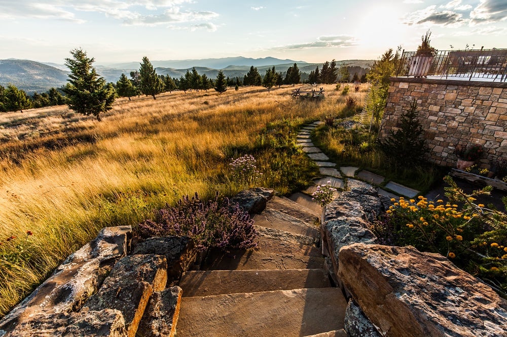 Blanchfrod Landscape Group Tuscan Villa landscape meadow