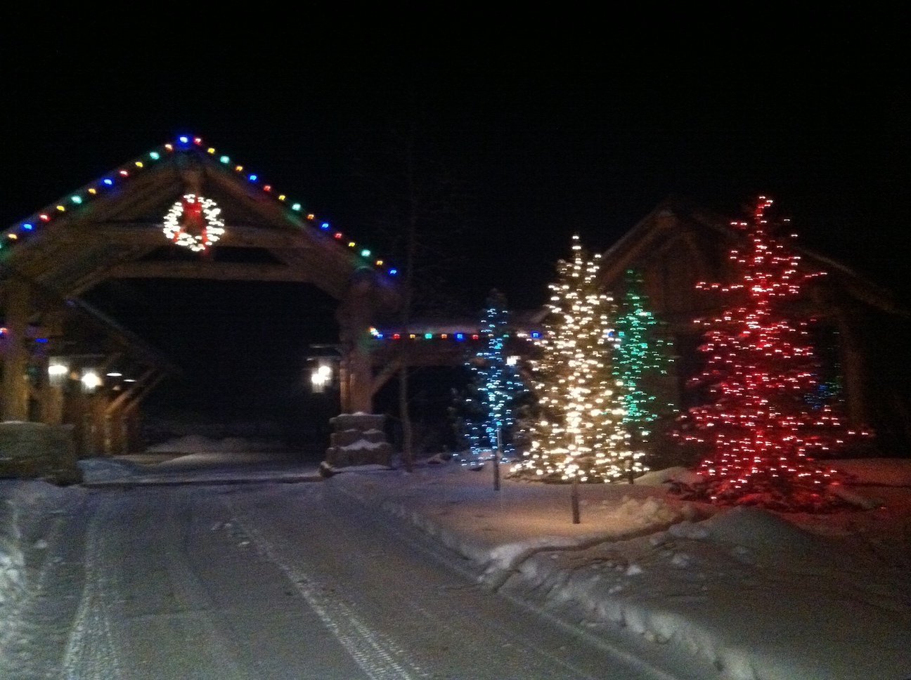 Holiday lighting lights wreath entrance driveway trees