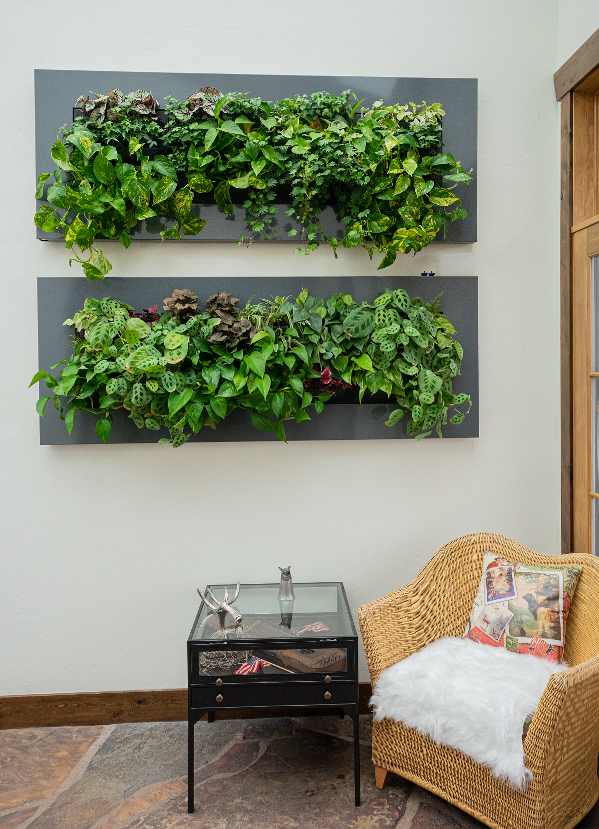 Interior plantscaping on a wall