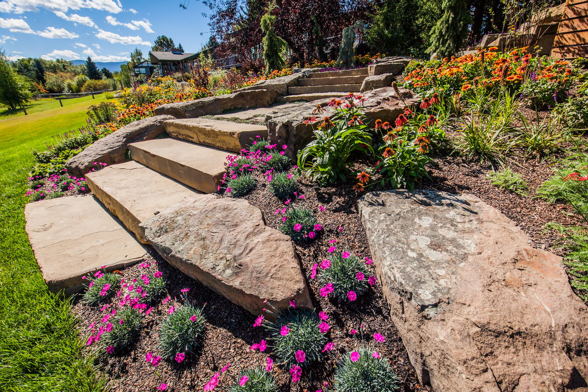 unique plantings between steps and rocks 