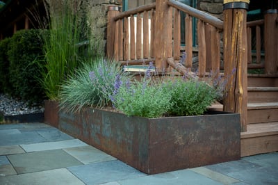 plantings 4