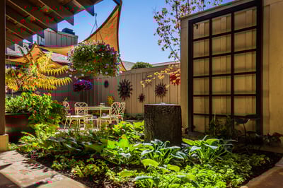 plantings 8