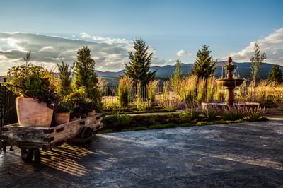 plantings 10