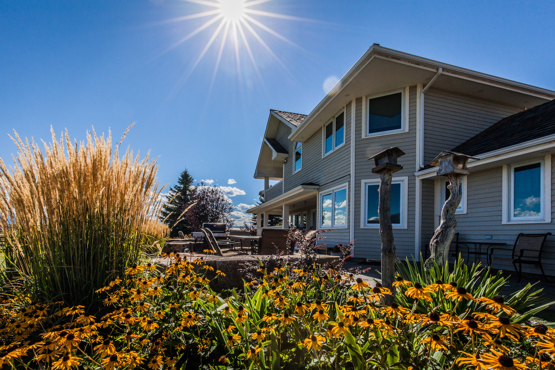 plantings-patio-house-sky