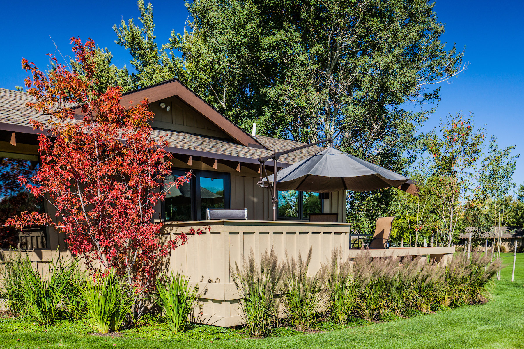 Planting viewed from outside