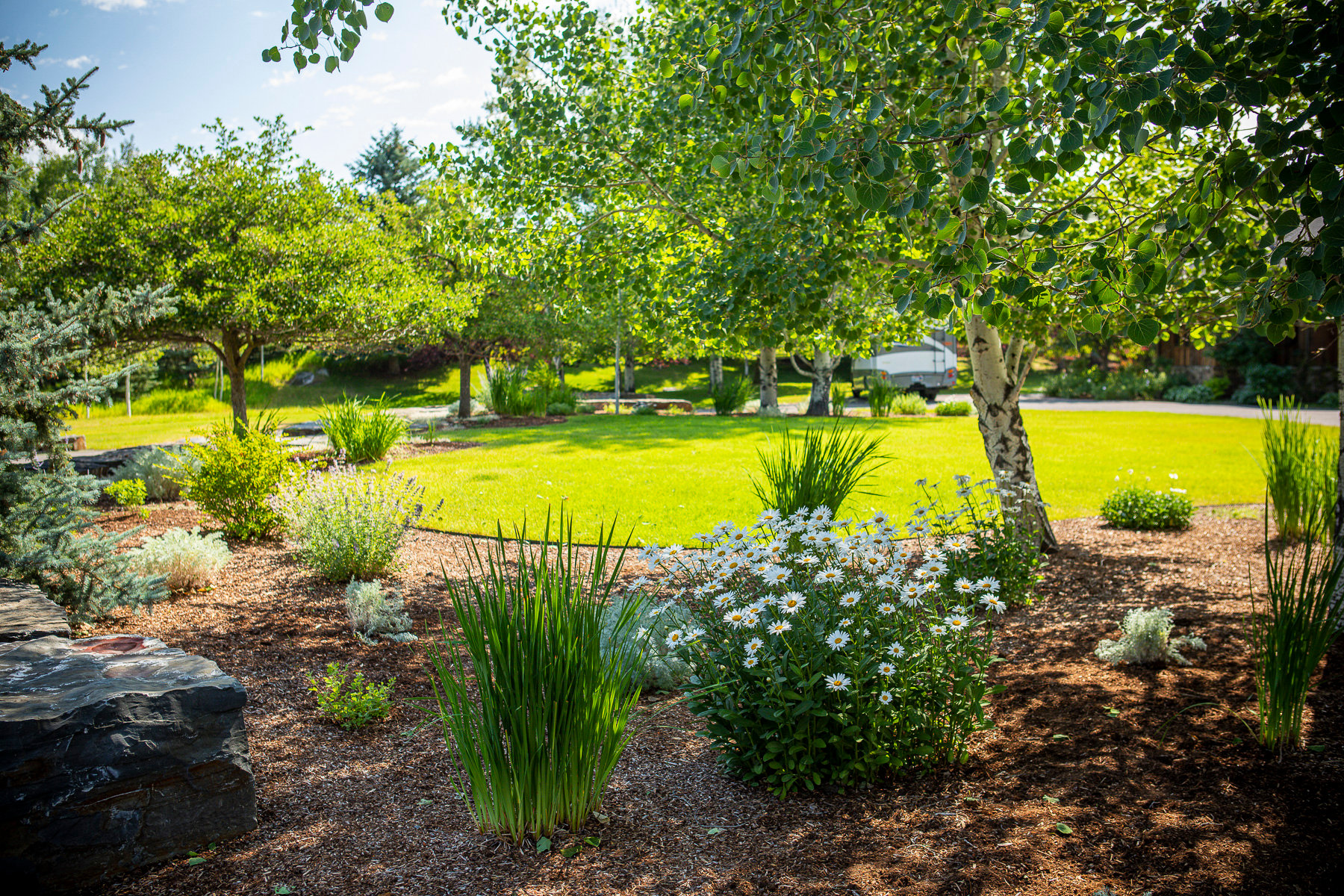 lush green lawn