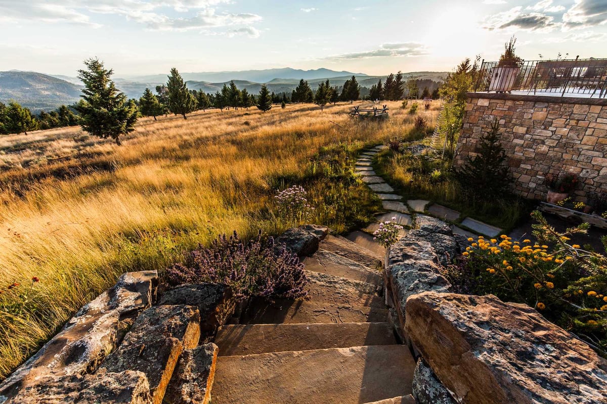 walkway surrounded by native meadow