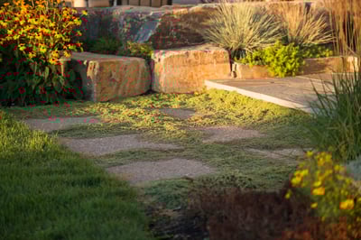 walkway 7
