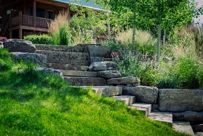 steps 8