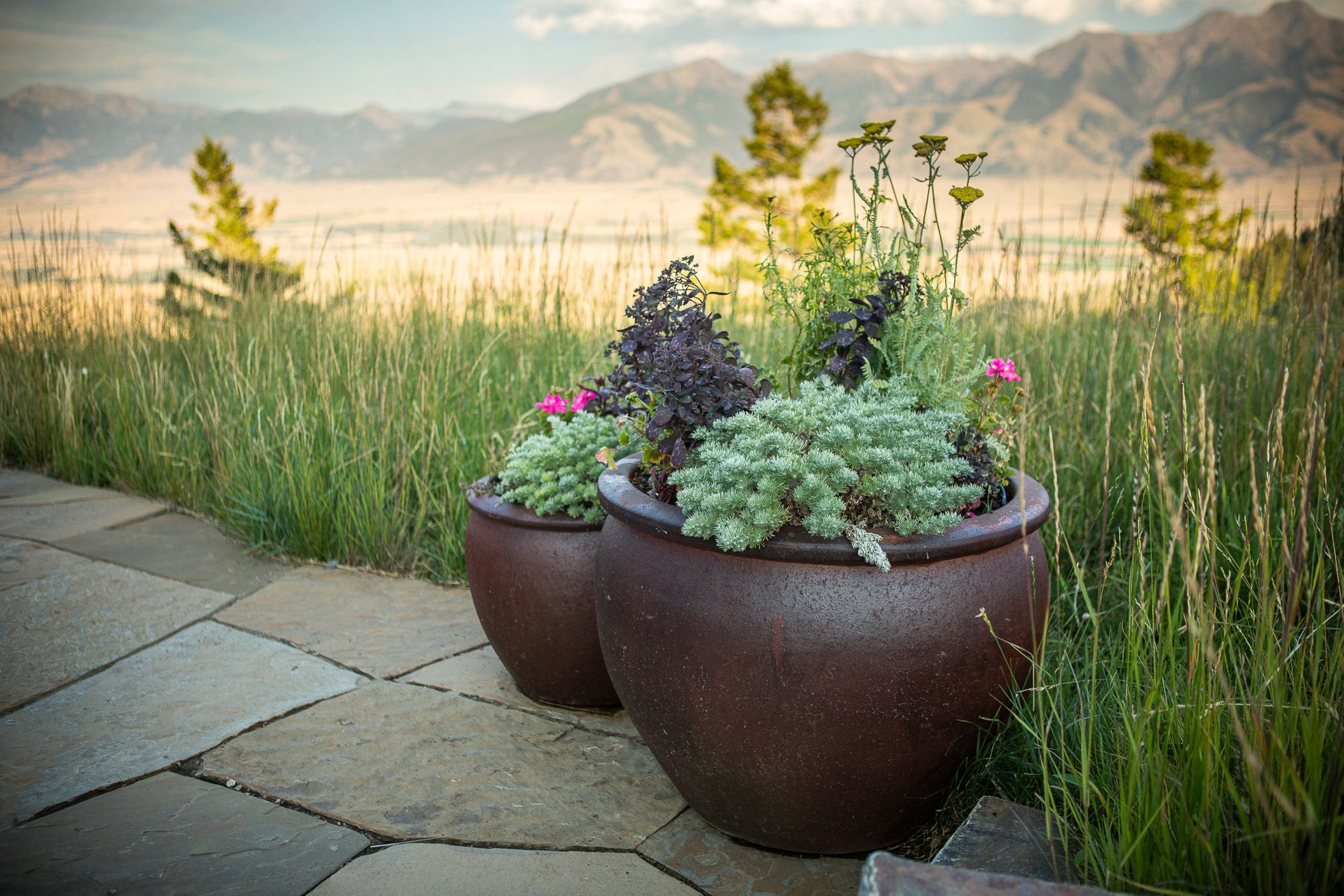 container gardens for your yoga patio area