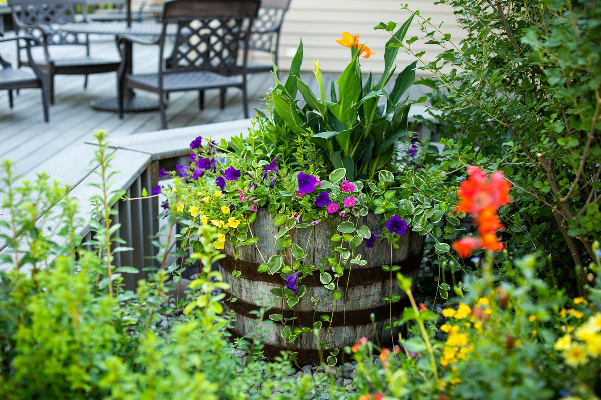 container garden behind sitting wall