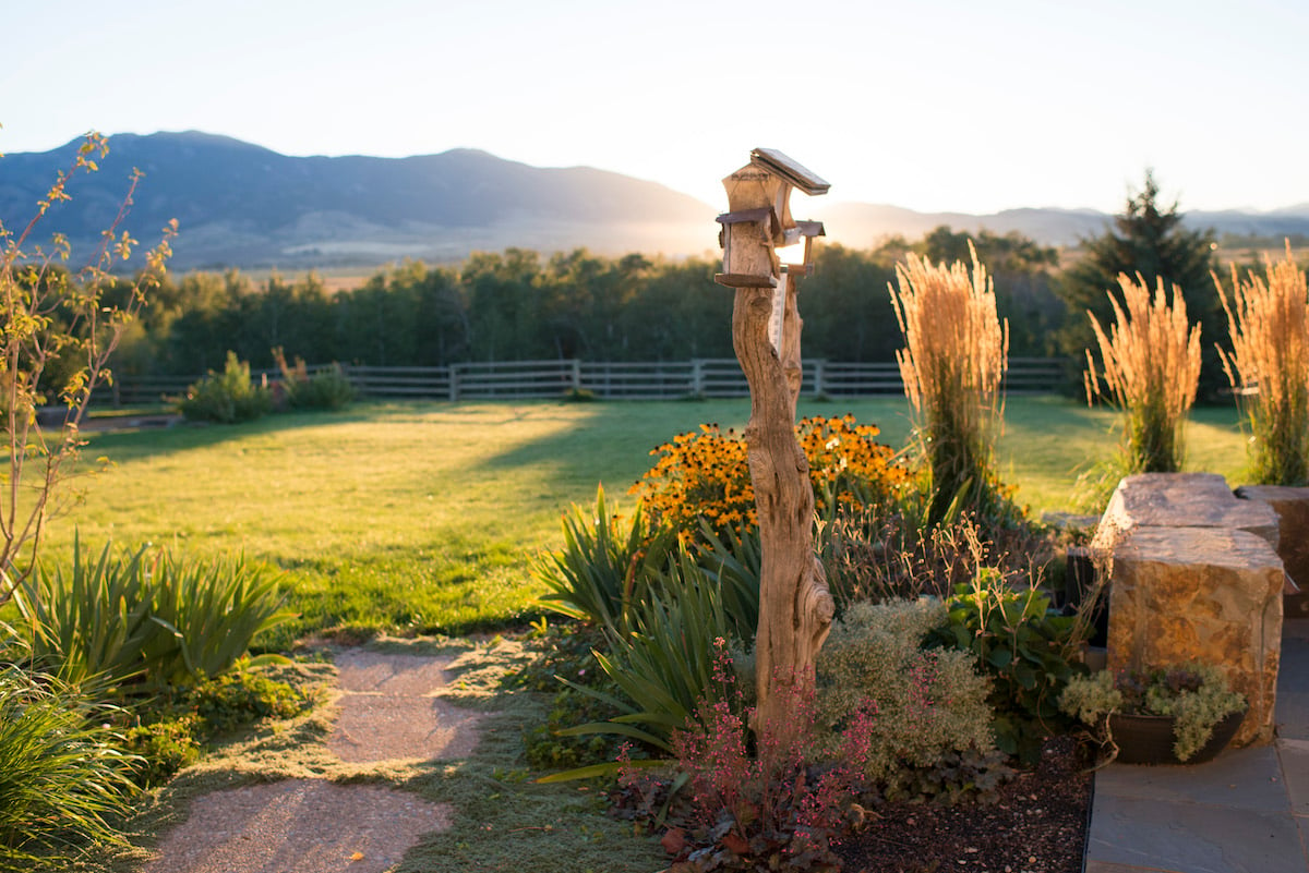 plants pruned properly in Montana