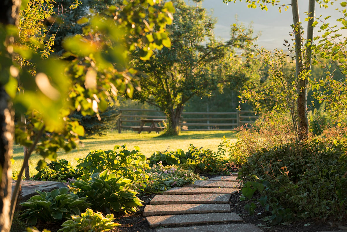 walkway with healthy shrubs and trees in Montana