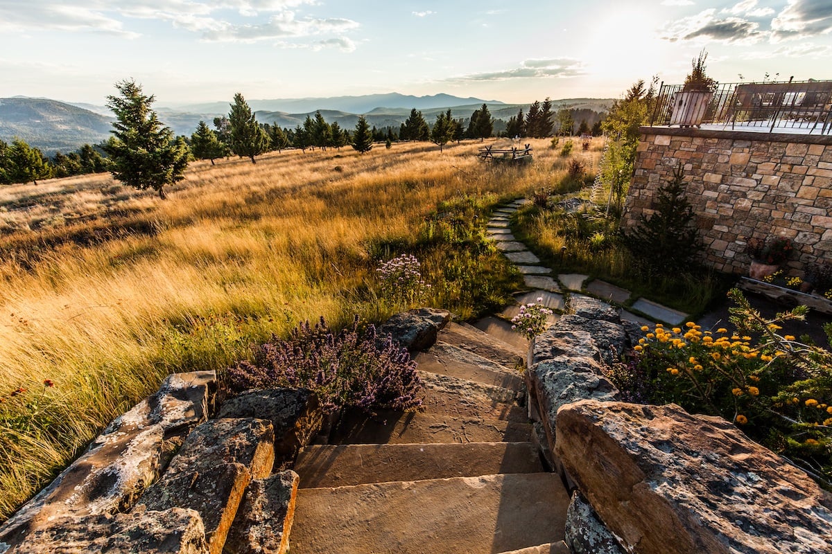 steps and pathway with native plantings in montana