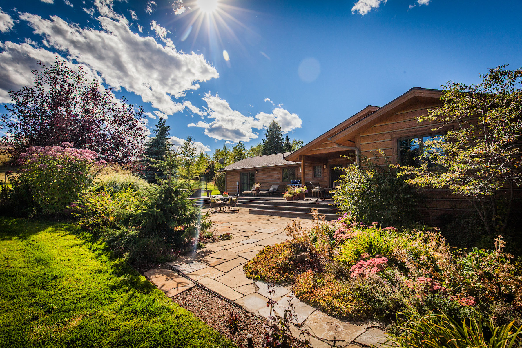 patio surrounded by plants and flowers