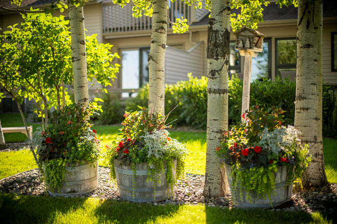 Container gardens