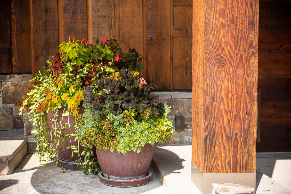 two container garden plantings