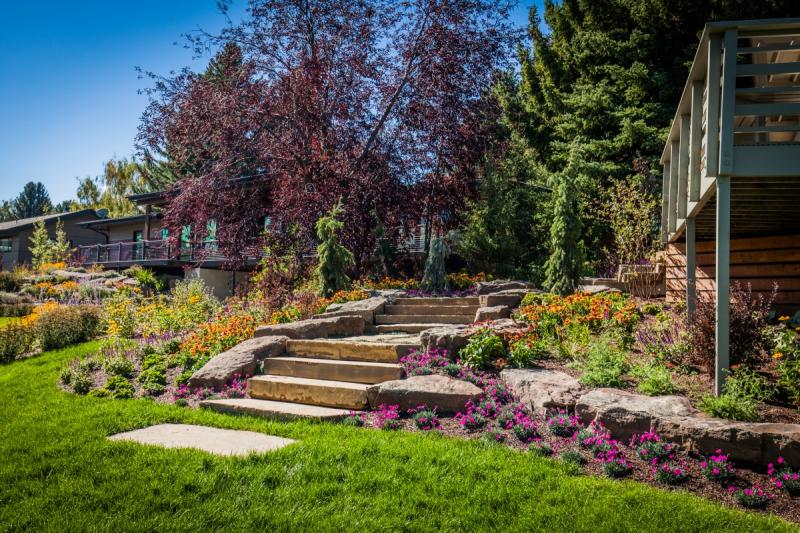 well maintained garden with stone steps