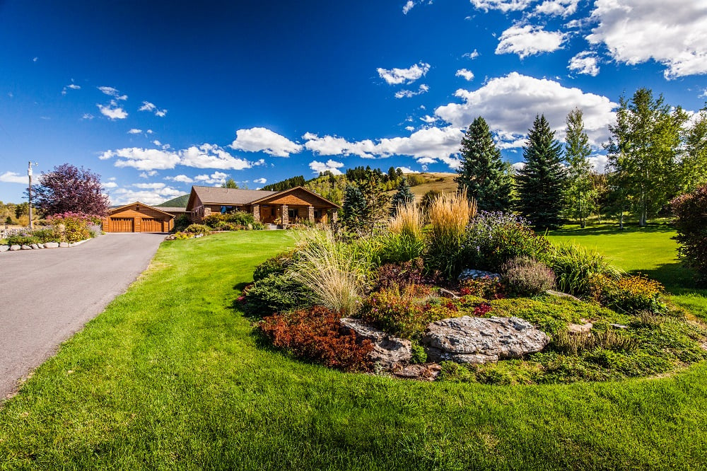 garden with shrubs and plants