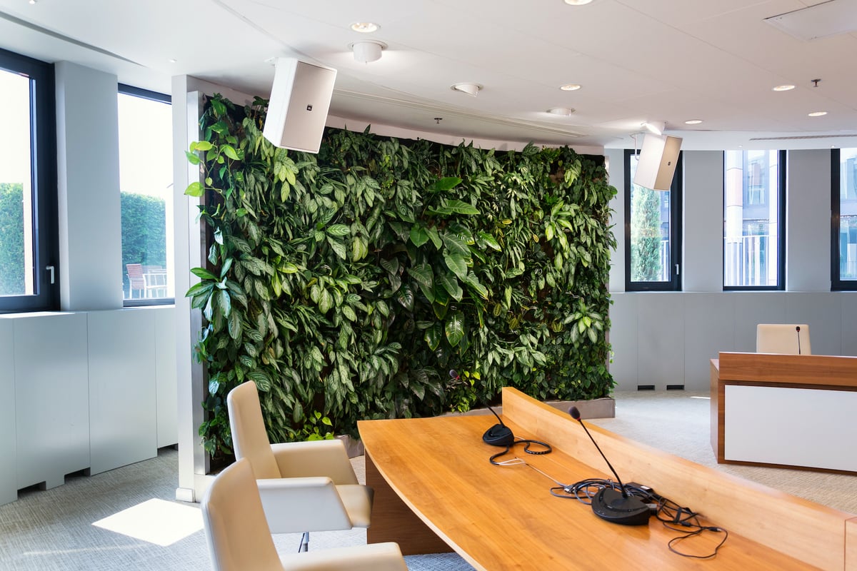 green wall in meeting room