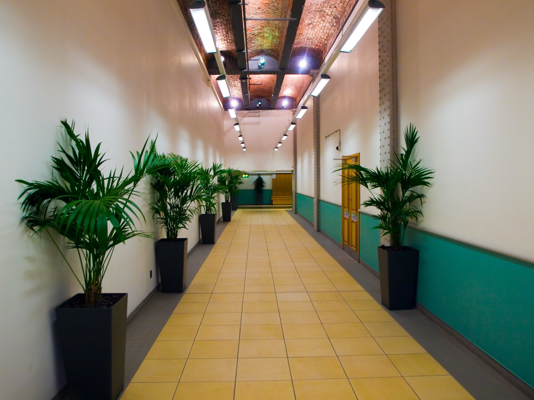 Palms for carbon dioxide reduction