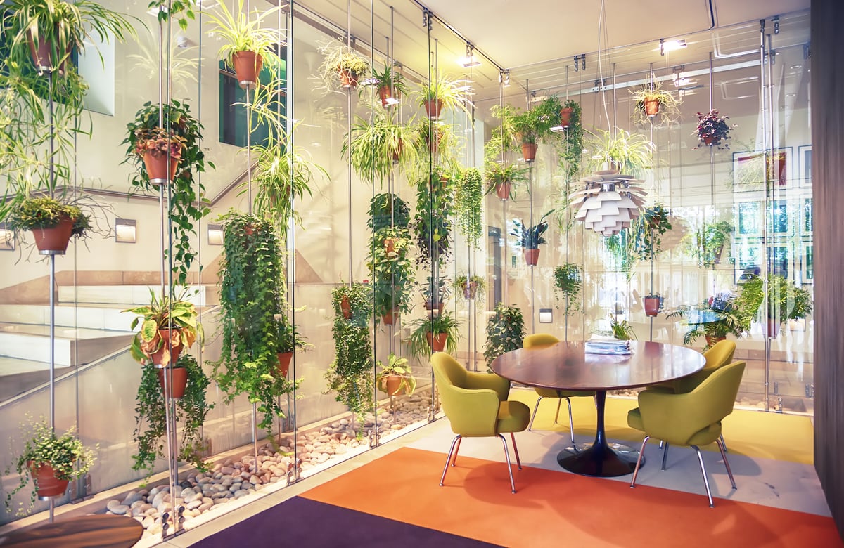 interior plantscape in office with hanging pots