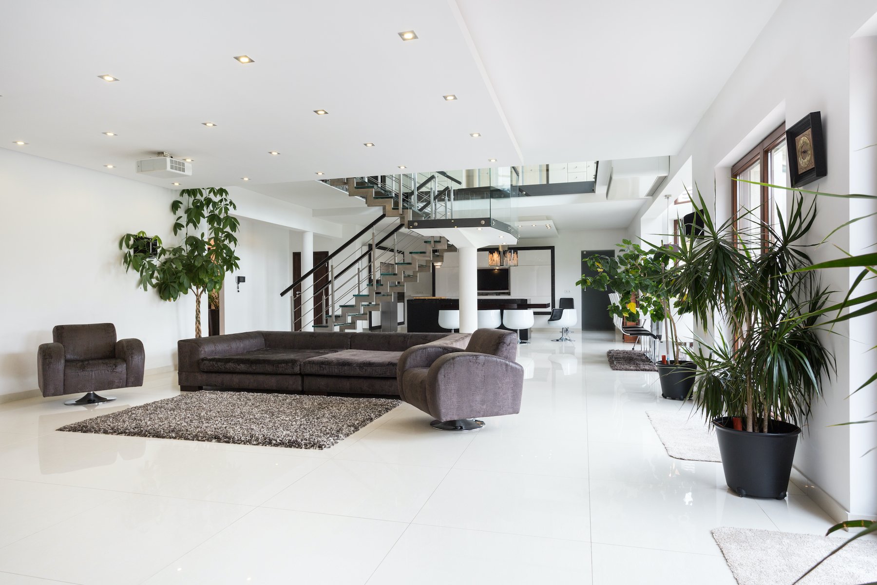 interior plantscape in living room