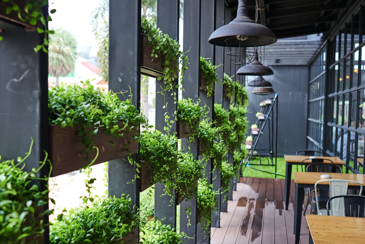 interior planting wall at commercial location