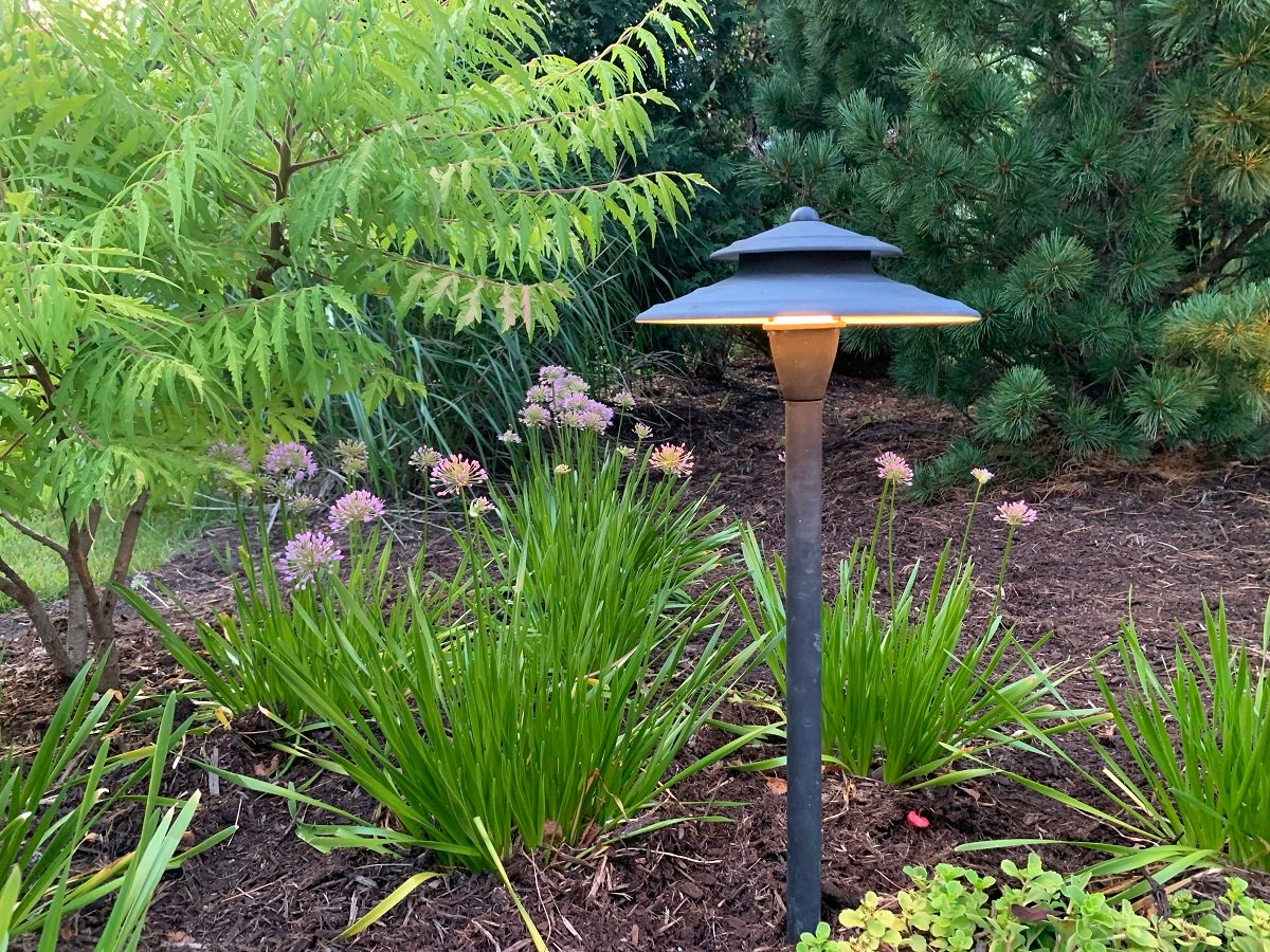 landscape lighting in planting bed