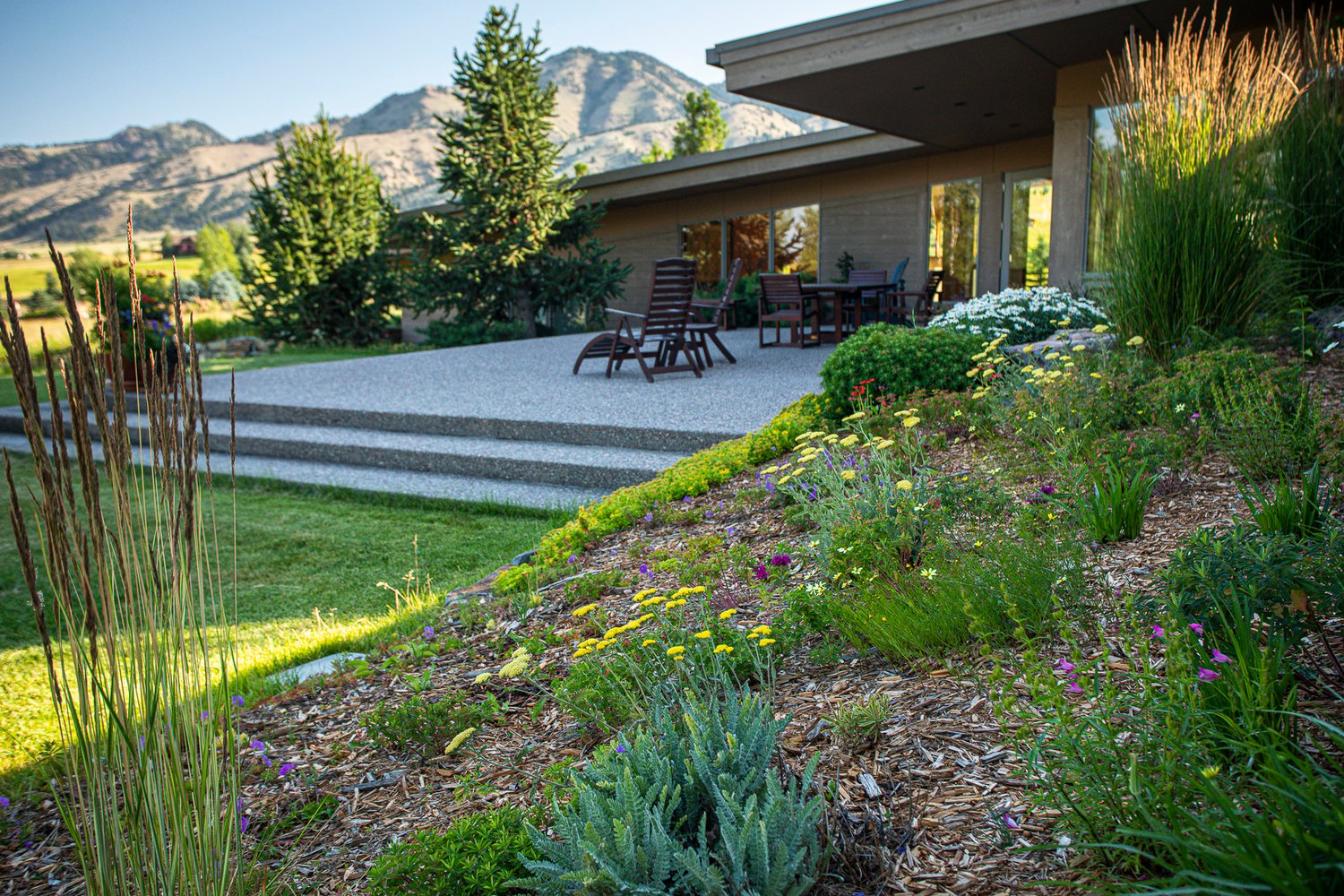 natural planting with patio and steps for outdoor living space