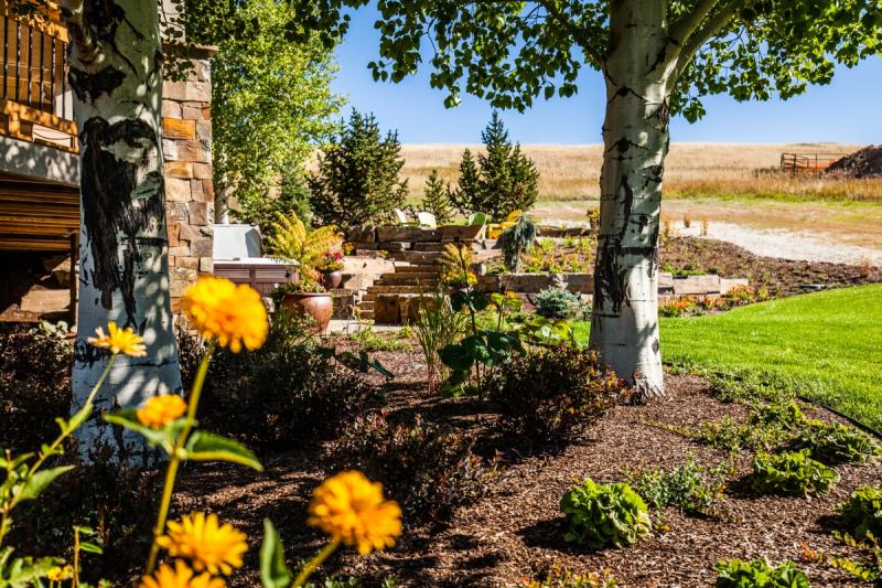 mulch around plants in a flower bed