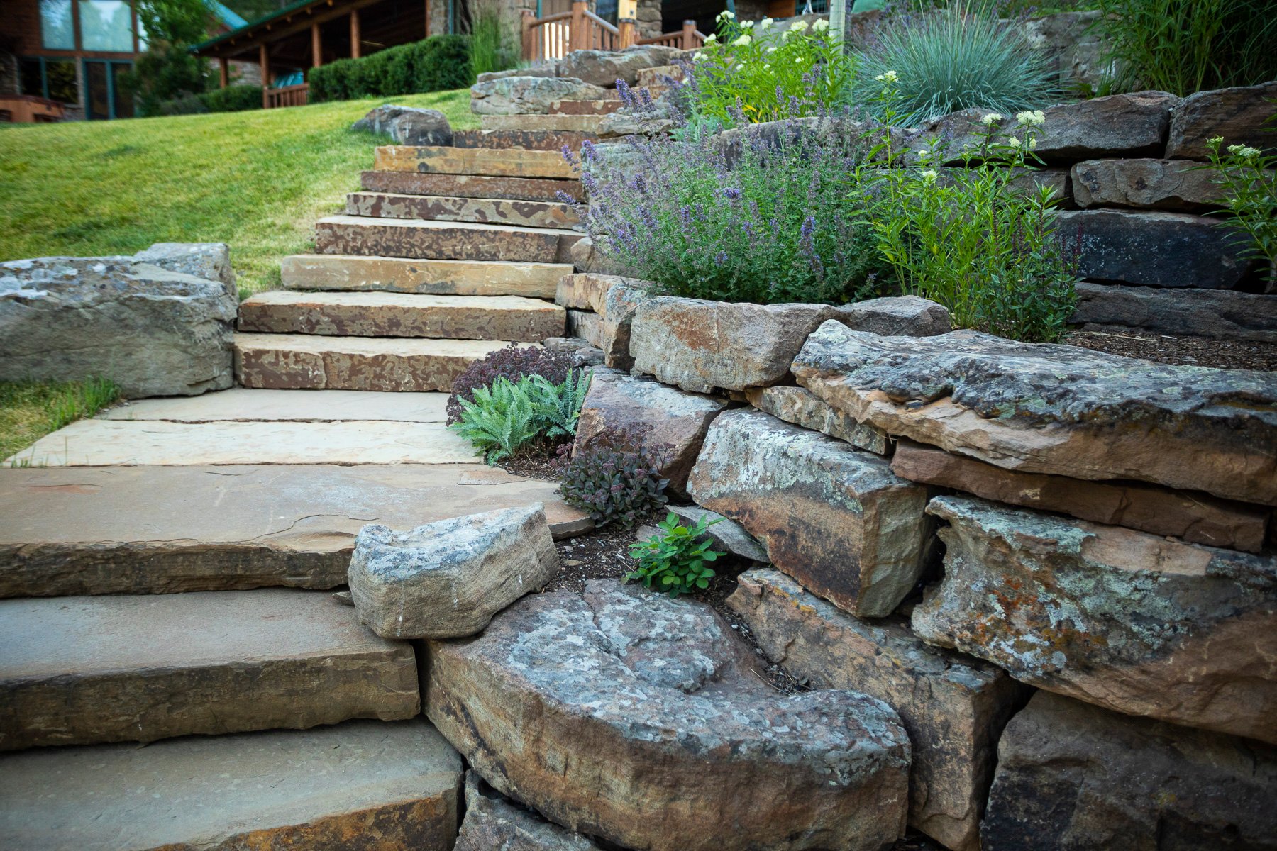 Landscaping along pathway with herbs and edible plants