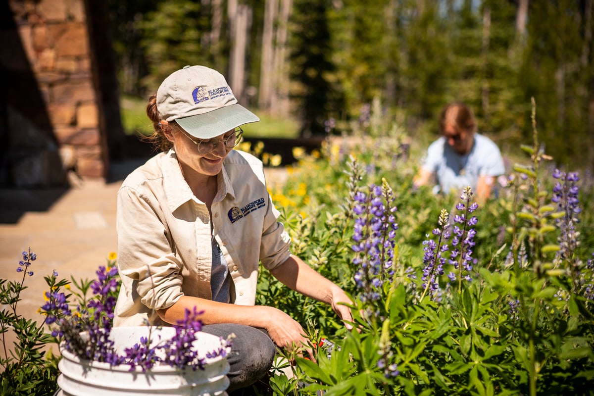 maintenance team cuts back flowers