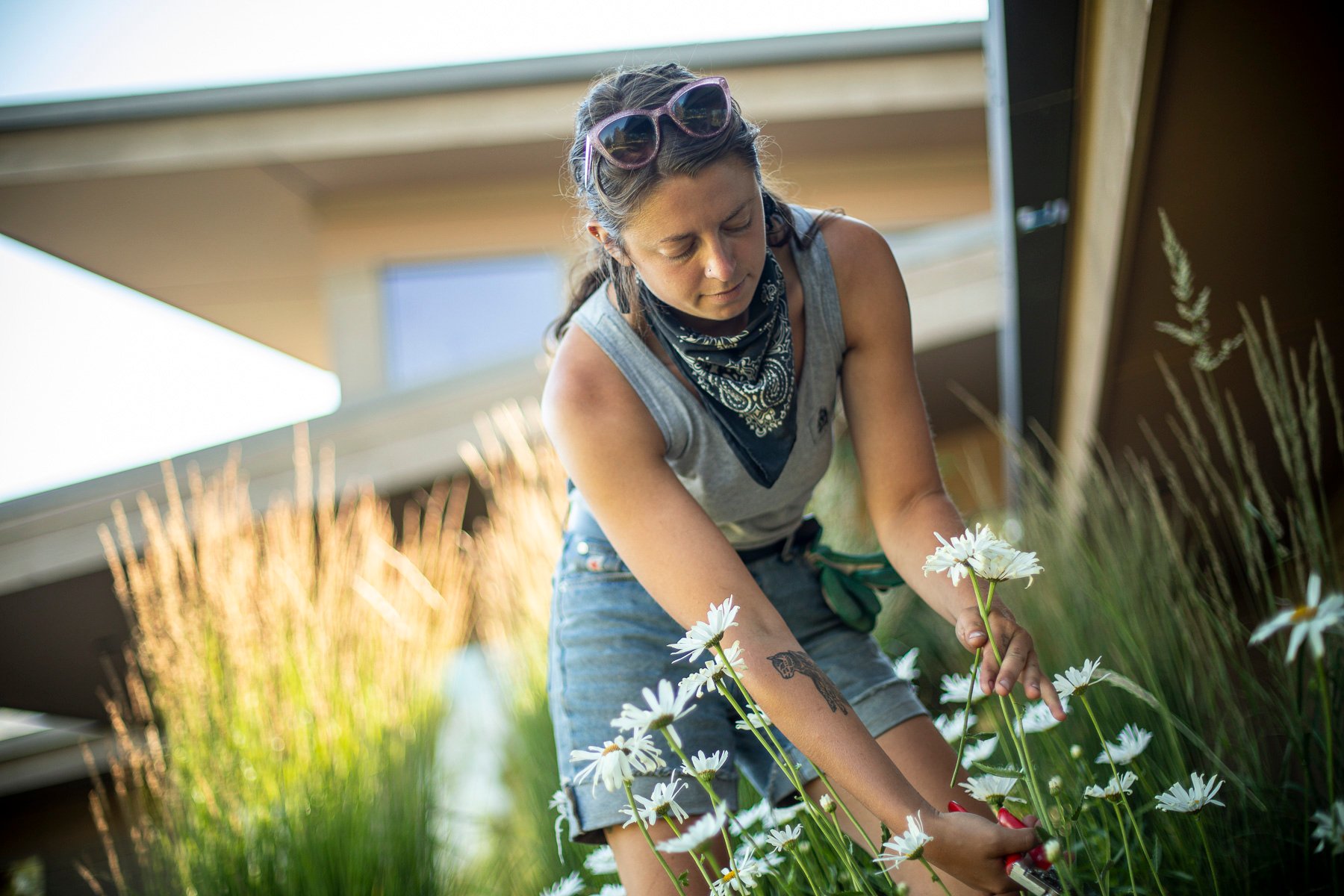 Maintenance team dead heading perennials in flower beds