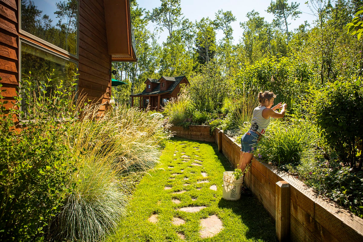 landscapers pulling weeds in flowers