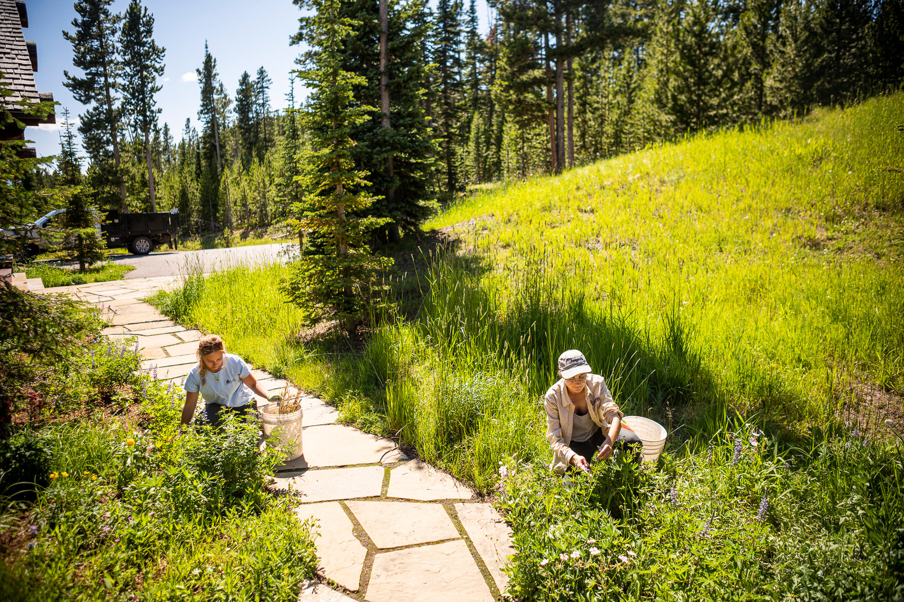 landscapers working in Bozeman, MT