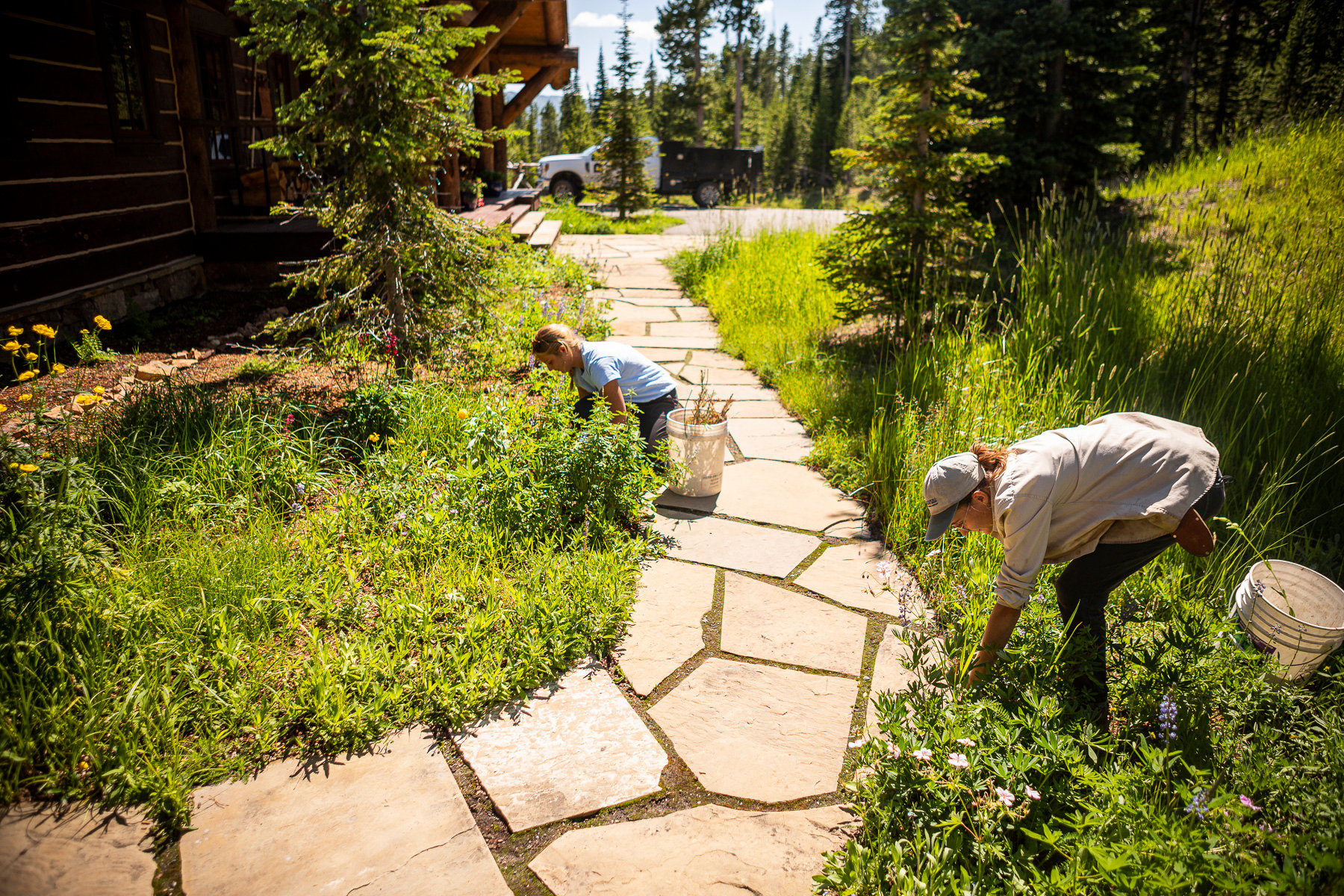 Landscape maintenance team pulling weeds