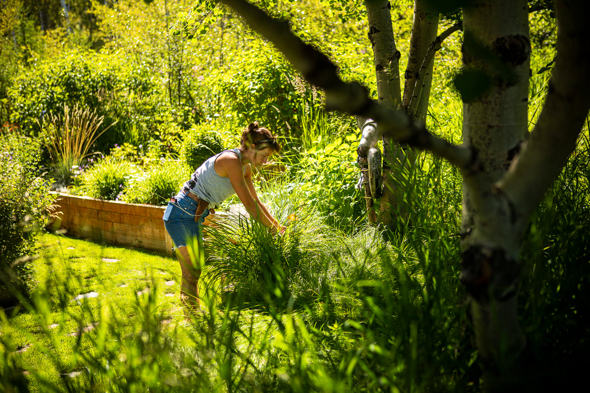 landscape maintenance team weeding