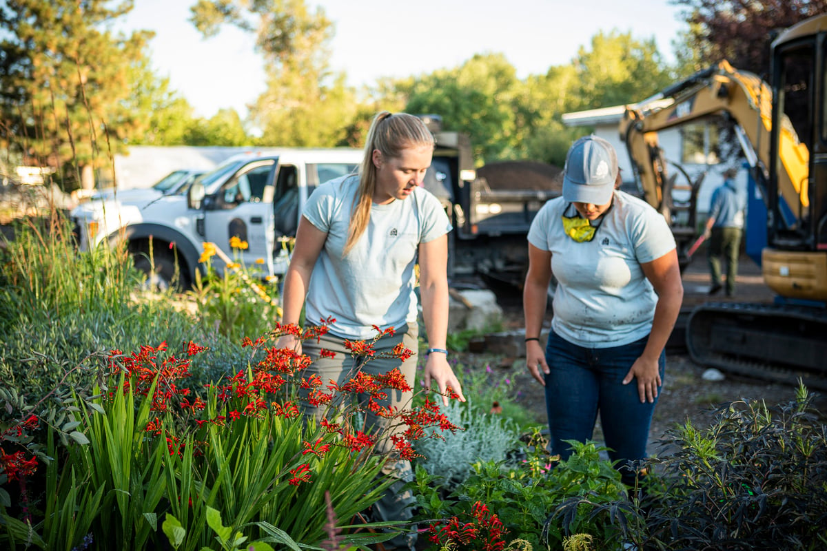 landscape team inspects plants in yard outdoors at shop