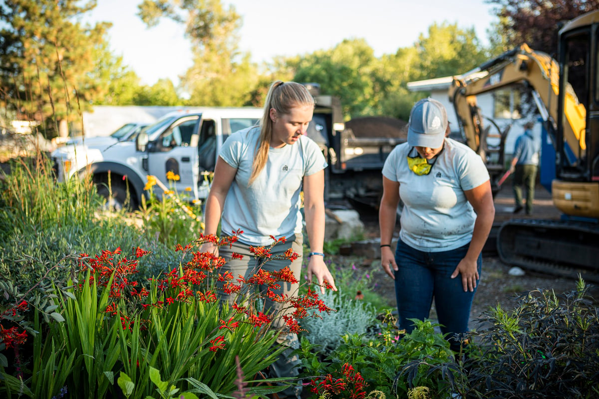 landscape team members inspect plants 