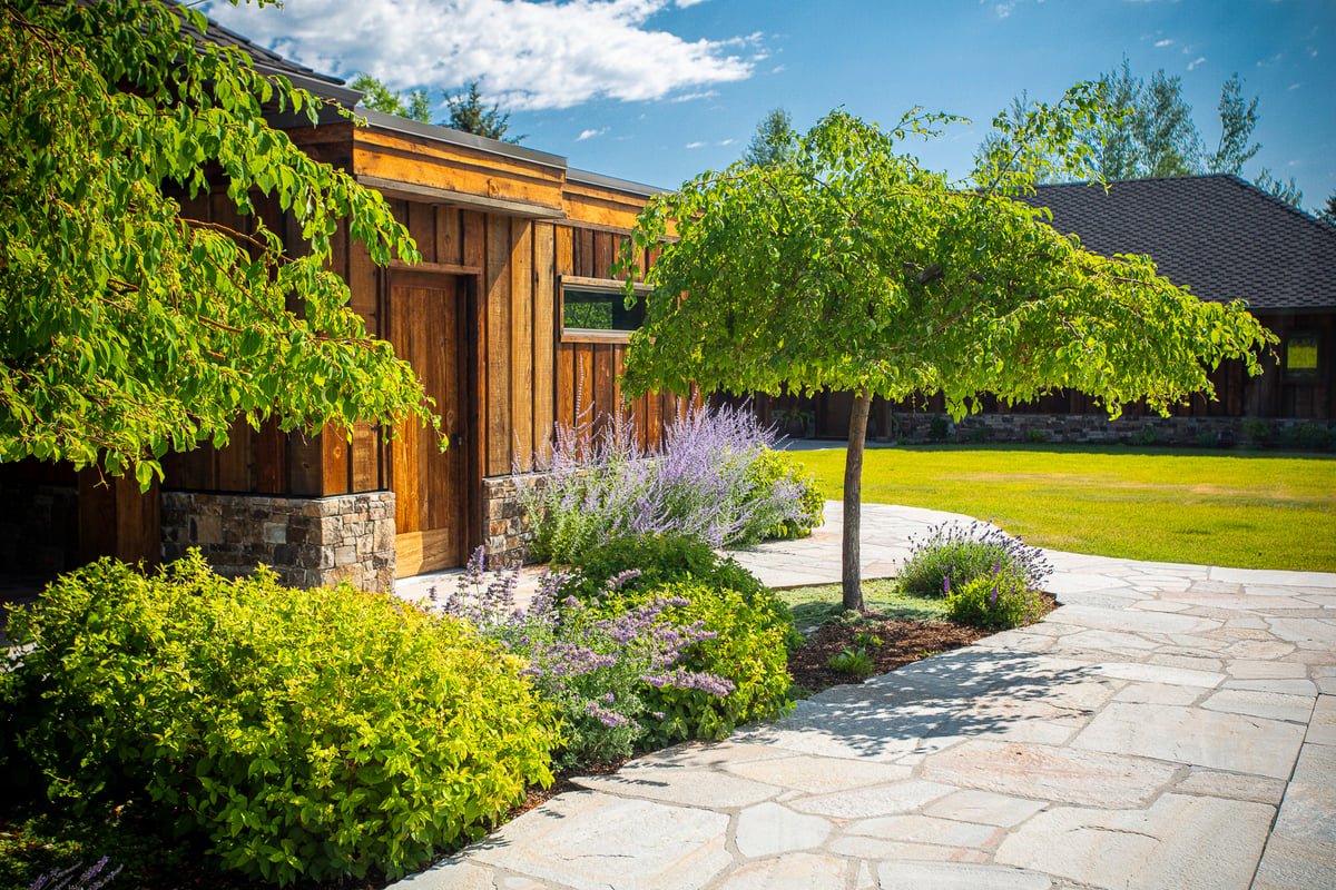 plantings near walkway 