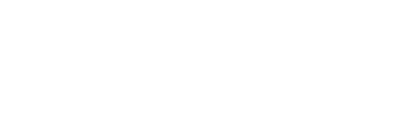 Blanchford Logo White